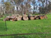 PL 802 Scotts Brook Road, Scotts Brook, WA 6244-Image
