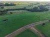 PL 802 Scotts Brook Road, Scotts Brook, WA 6244-Image