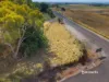 Preston Road, North Motton, Tas 7315-Image