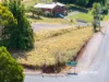 Preston Road, North Motton, Tas 7315-Image