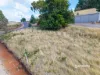 Preston Road, North Motton, Tas 7315-Image