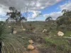 Pro Lot 5 Utopia Rise, Swan View, WA 6056-Image