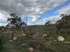 Pro Lot 5 Utopia Rise, Swan View, WA 6056-Image