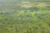 Sanctuary Avenue, Marrakai, NT 0822-Image