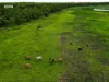Sanctuary Avenue, Marrakai, NT 0822-Image