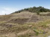 Scheiwe Road, Plainland, Qld 4341-Image