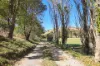 Sec./189 Torrens Vale Road, Torrens Vale, SA 5203