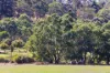 Sec./189 Torrens Vale Road, Torrens Vale, SA 5203-Image