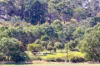 Sec./189 Torrens Vale Road, Torrens Vale, SA 5203-Image