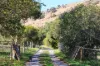 Sec./189 Torrens Vale Road, Torrens Vale, SA 5203-Image