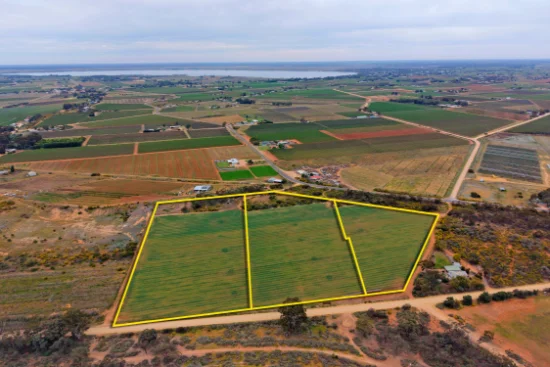Sec 236, 730 & 731 Schell Road, Loveday, SA 5345