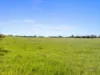 Sect. 105 Gumflat Road, Minlaton, SA 5575-Image