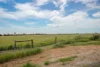 Section 1162 Hicks Road, Jervois, SA 5259