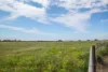 Section 1162 Hicks Road, Jervois, SA 5259-Image