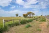 Section 1162 Hicks Road, Jervois, SA 5259-Image