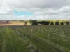 Section 15 Horrocks Highway, Auburn, SA 5451-Image