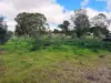 Section 15 Horrocks Highway, Auburn, SA 5451-Image
