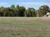 Section 307 Horrocks Highway, Gladstone, SA 5473-Image