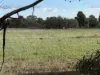 Section 307 Horrocks Highway, Gladstone, SA 5473-Image