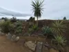 Section 386 West Terrace, Peterborough, SA 5422-Image