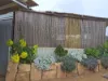 Section 386 West Terrace, Peterborough, SA 5422-Image