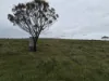 Section 386 West Terrace, Peterborough, SA 5422-Image