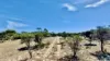 Section 76, Streaky Bay, SA 5680