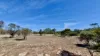 Section 76, Streaky Bay, SA 5680-Image