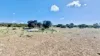 Section 76, Streaky Bay, SA 5680-Image