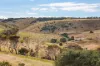 The Views Brown Road, Carrickalinga, SA 5204-Image