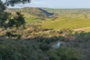 "Traquair", 426 Cavan Road, Cavan, NSW 2582-Image