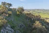 "Traquair", 426 Cavan Road, Cavan, NSW 2582-Image