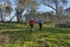 "Traquair", 426 Cavan Road, Cavan, NSW 2582-Image