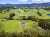 "Upper Warrell Estat Upper Warrell Creek Road, Macksville, NSW 2447-Image