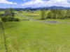 "Upper Warrell Estat Upper Warrell Creek Road, Macksville, NSW 2447-Image
