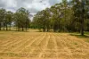 Various Lots Emerald Close, Verges Creek, NSW 2440-Image