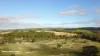 Watson Drive, Mount Compass, SA 5210-Image