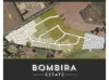 Webster Street, Bombira, Mudgee, NSW 2850-Image
