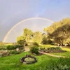 15490 Birdseye Highway, Coolillie, SA 5670-Image