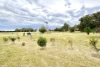 15490 Birdseye Highway, Coolillie, SA 5670-Image