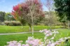 41/8 Wiseman Road, Bowral, NSW 2576-Image