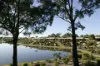 47/5 Lochinvar Court, Ashmore, Qld 4214