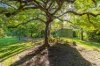 6 Darley Road, Bluewater, Qld 4818-Image