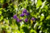 6 Darley Road, Bluewater, Qld 4818-Image
