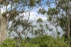 7/2 MacLeay Drive, Halekulani, NSW 2262-Image