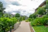 823/135 Meiers Road, Indooroopilly, Qld 4068-Image