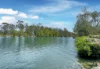 83/5 Mill Road, Failford, NSW 2430-Image