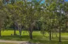 IC/024 Ibis Crescent, Shortland, NSW 2307-Image