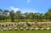IC/034 Ibis Crescent, Shortland, NSW 2307-Image
