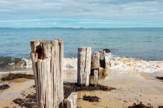 Mornington Peninsula Rentals - BALNARRING - Real Estate Agency